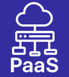 PaaS support